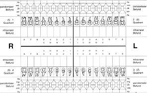 Zahnstatus und parodontaler Befund