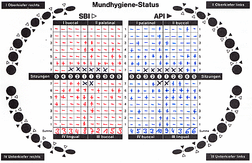 Mundhygiene-Status (API/SBI)
